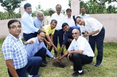 tree-plantation-alumnijamshedpurchapterat-bit-sindri.jpg