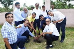 tree-plantation-alumnijamshedpurchapterat-bit-sindri.jpg